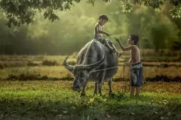 面对常态化的疫情我们该何去何从