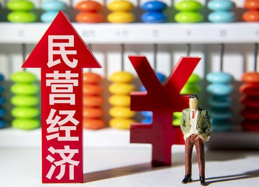 民营经济发展局设立，加快推动措施落地生效！