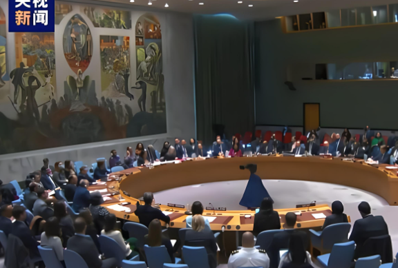 联合国加沙会议被美国一票否决！