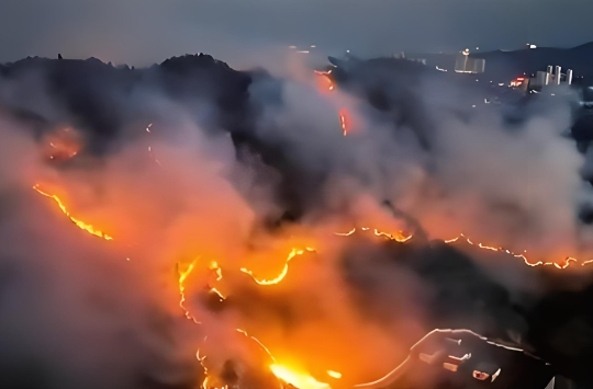 贵州省多个地区发生山火都是什么原因！